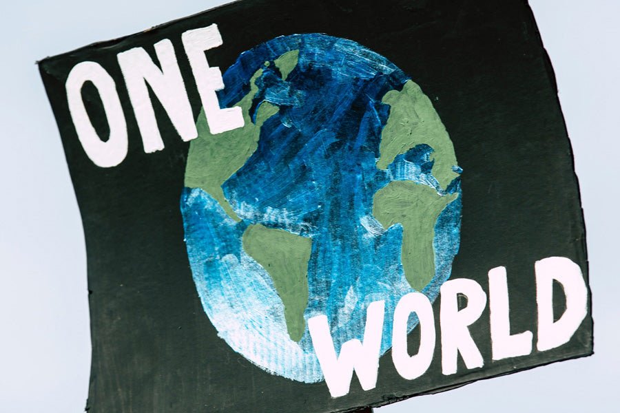 5 consejos para ayudar a combatir el cambio climático - Misswood