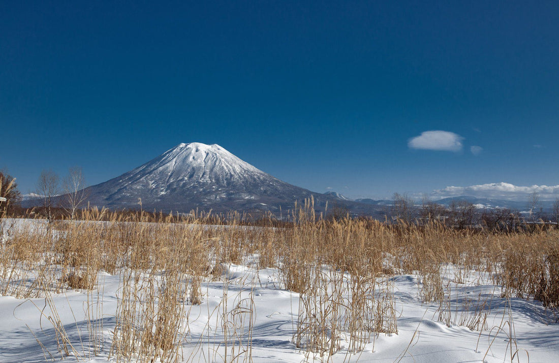 Hokkaido (Japón) - Misswood