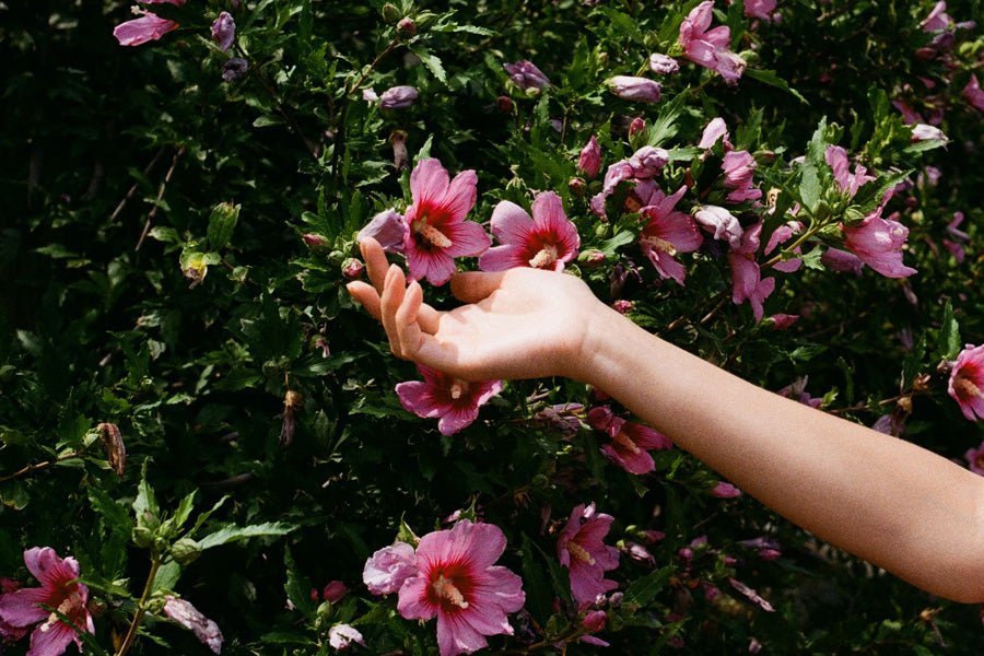 Nouvelle campagne de collecte de fonds contre le Cancer du Sein