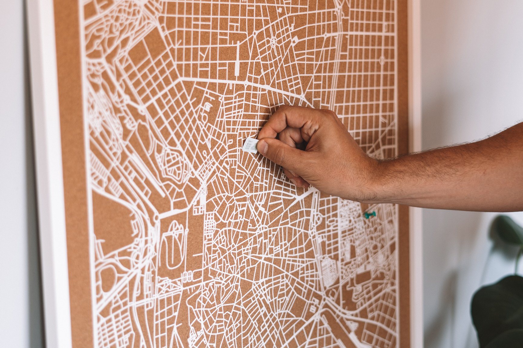 Local traveler - Misswood