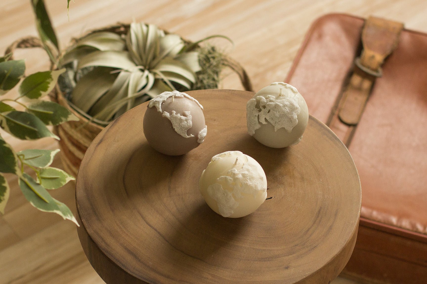 Novedades - Misswood